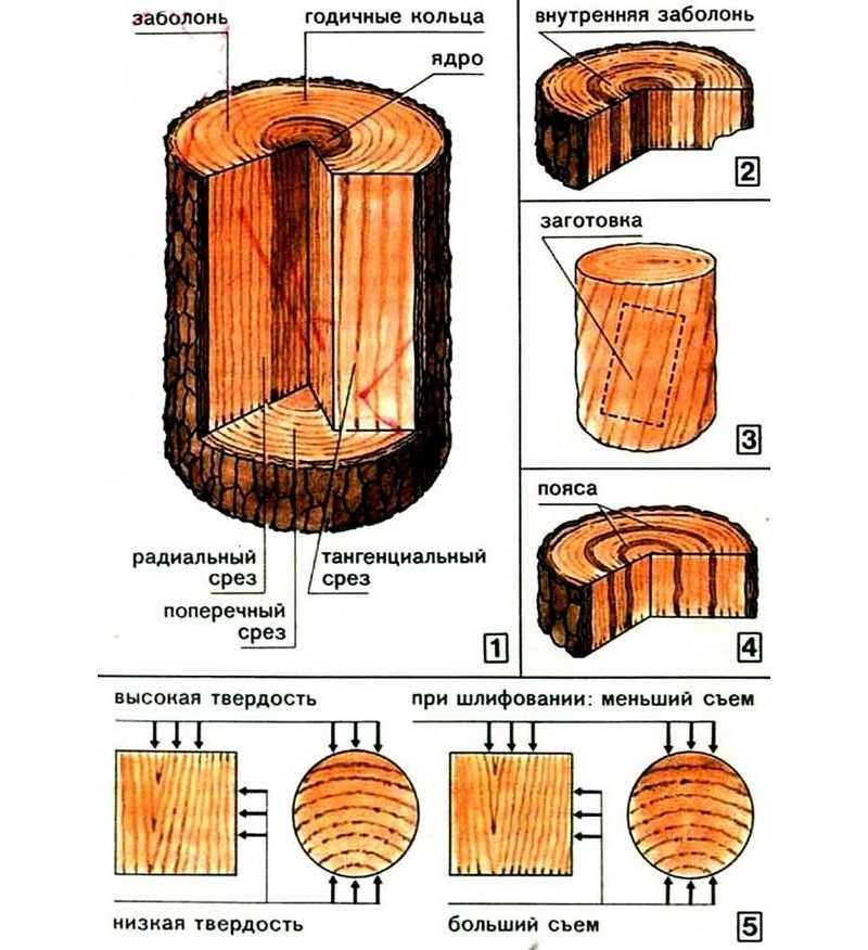 Плотность древесины разных пород | столярная мастерская «букдуб» в санкт-петербурге
