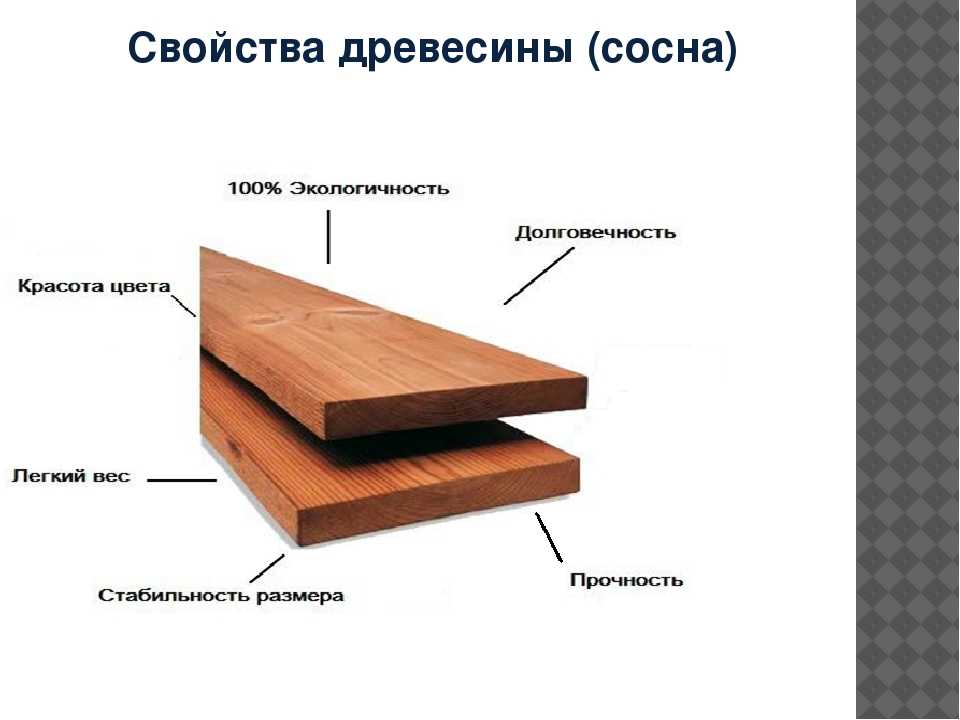 Благодаря дереву свойств. Свойства древесины. Характеристика древесины. Свойства дерева. Механические свойства древесины.