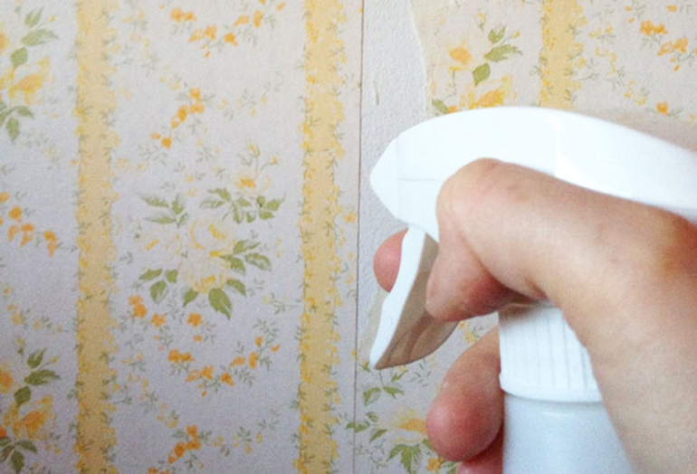 Как убрать жирное пятно с бумаги и различных бумажных поверхностей в домашних условиях