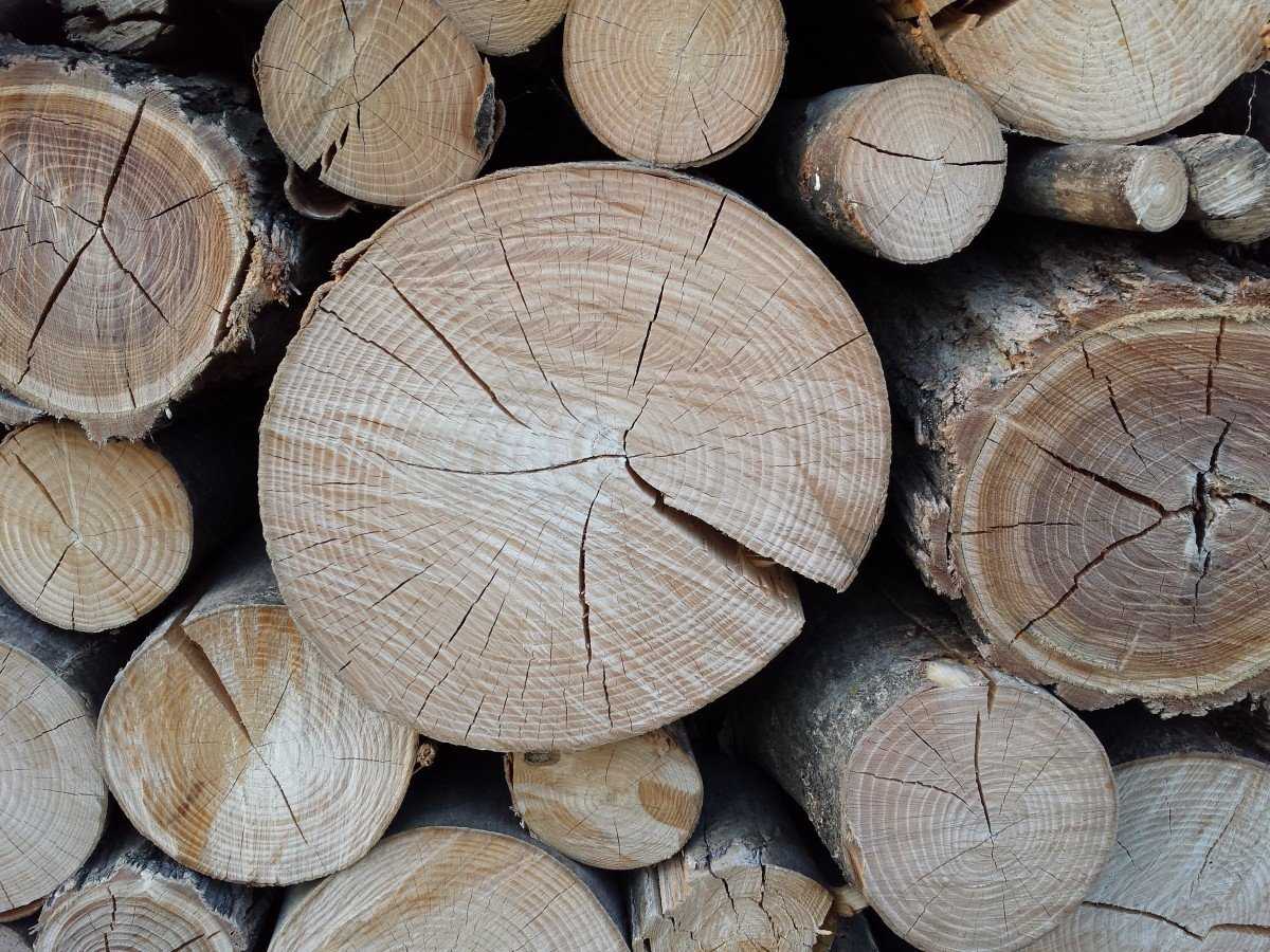 Ножи-стамески для резьбы по дереву : мягкие лиственные породы деревьев для всех видов резьбы