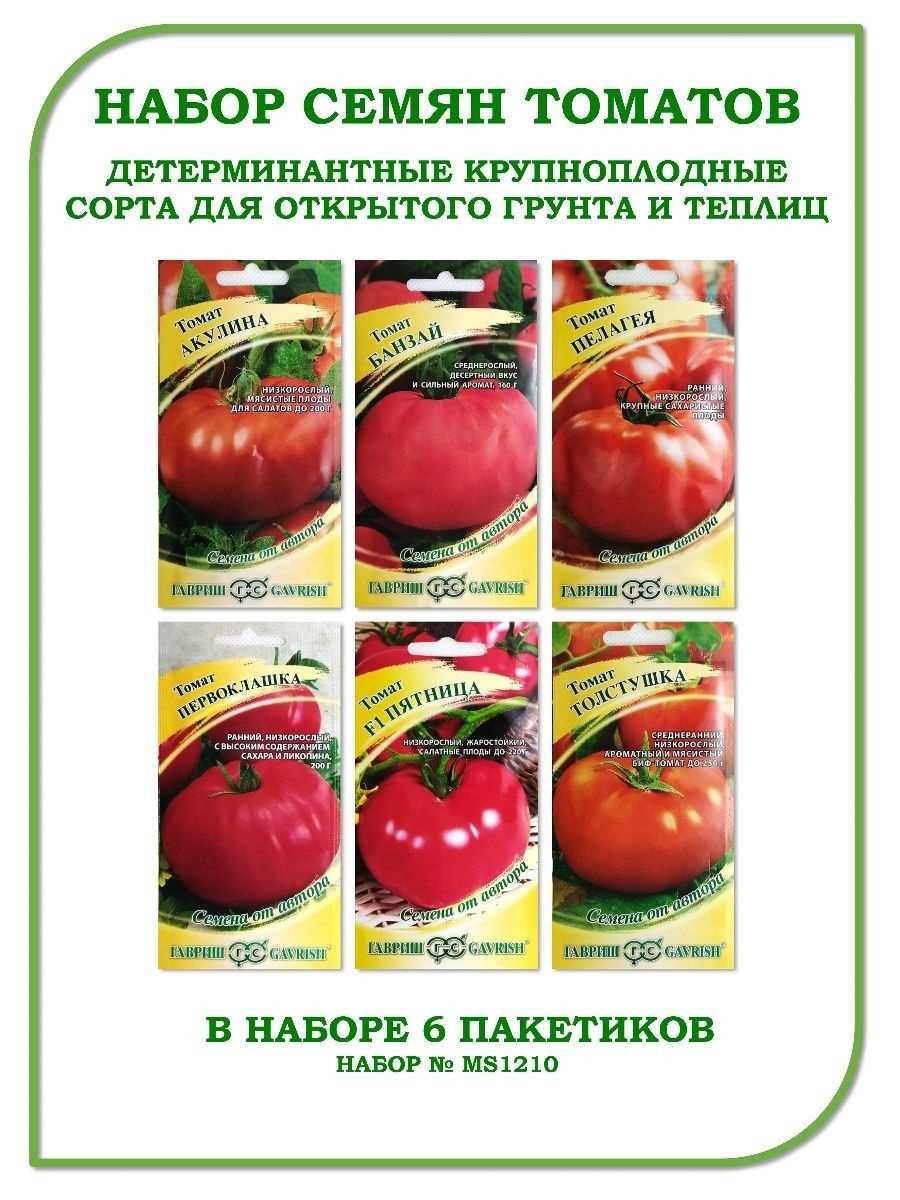 Сорта томатов и как их выбрать для посадки на огороде