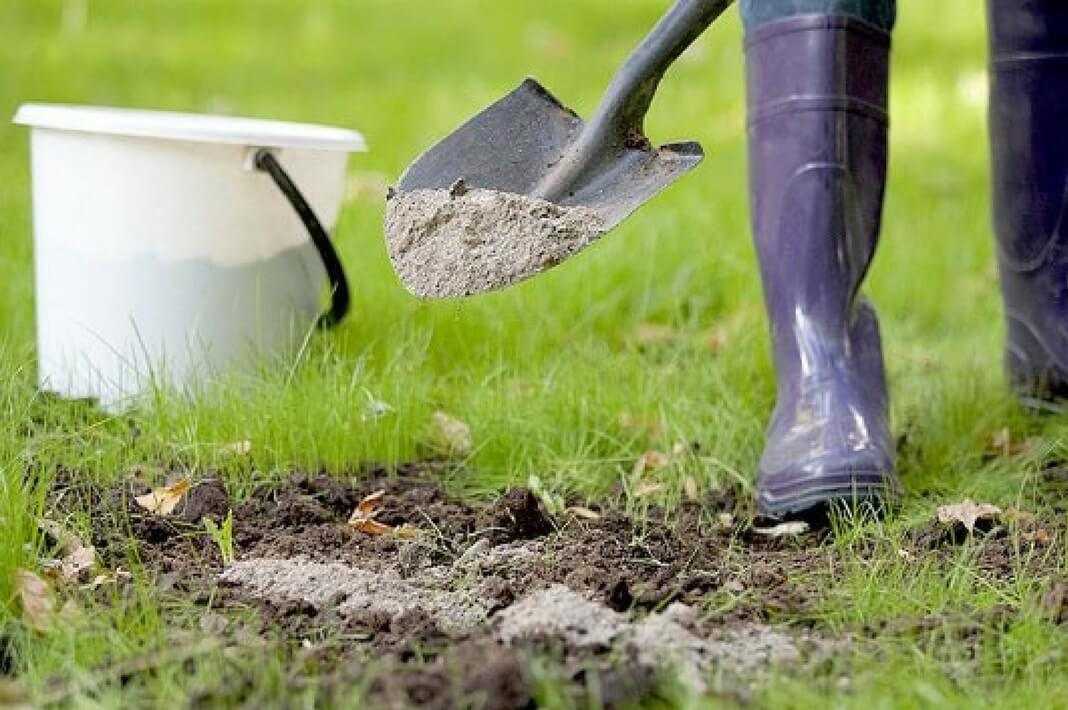 Известкование почвы осенью от сорняков. применение негашеной извести на огороде от сорняков | дачная жизнь