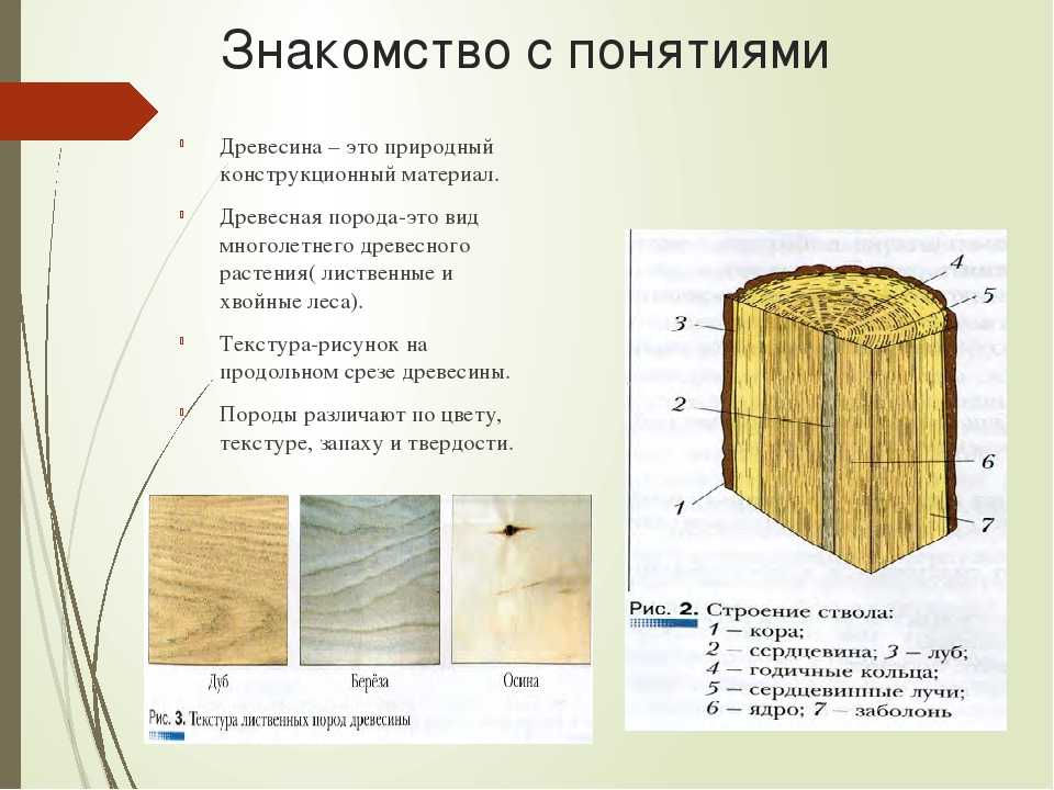 Твердость древесины - свойство, значение по бринеллю, таблица | «букдуб» в санкт-петербурге