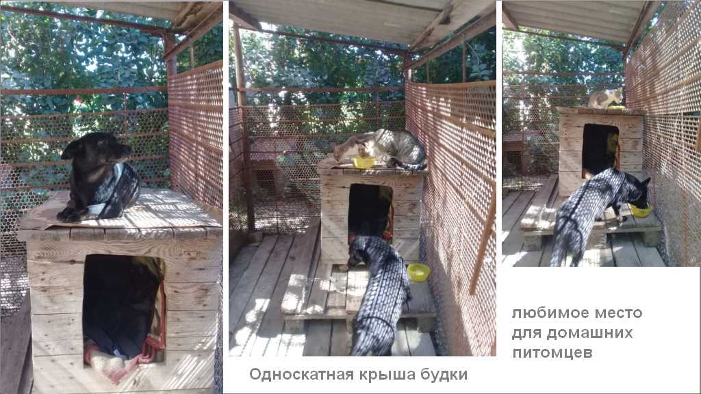 ᐉ как утеплить будку для собаки - ➡ motildazoo.ru