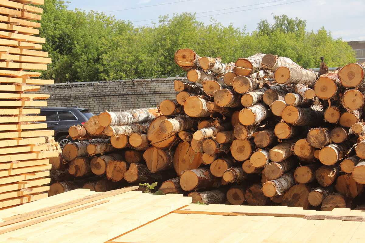 🔨 нюансы работы с древесиной: назначение, выбор, небольшие хитрости