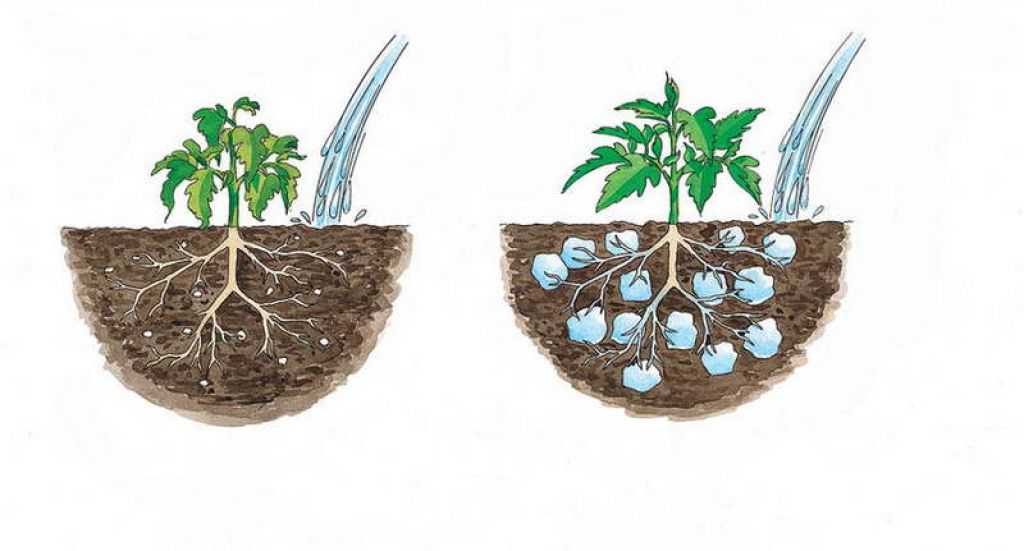 Как вносить гидрогель в почву для комнатных растений и правила посадки