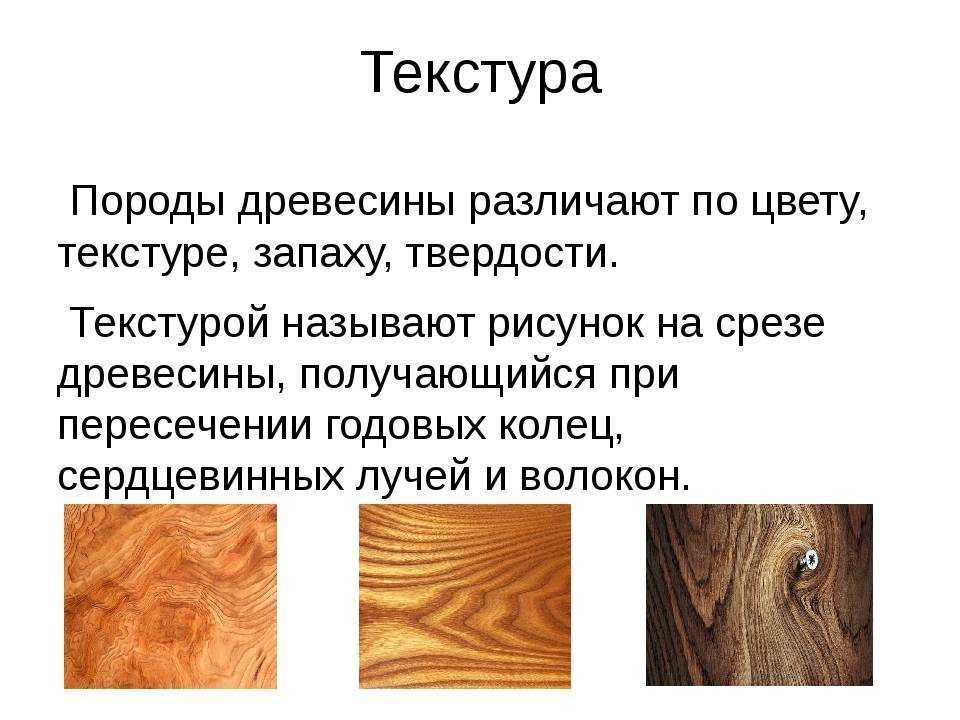 Древесина главное богатство этой зоны. Породы древесины. Образцы древесины. Свойства древесины. Древесина разных пород деревьев.