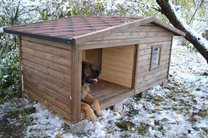 Утепленная будка для собаки своими руками: выбор утеплителя и техника работы