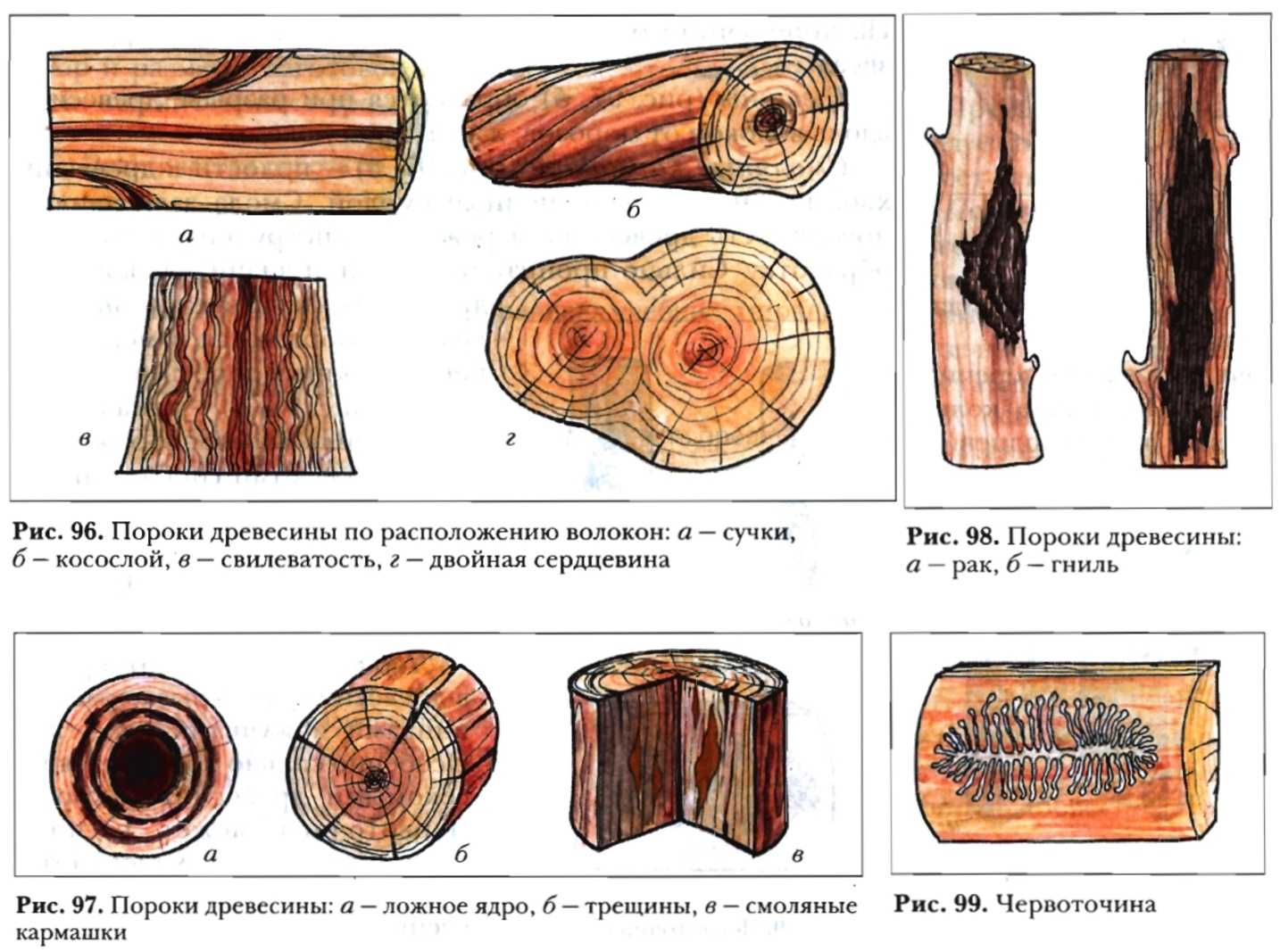 Пороки древесины пороки строения древесины