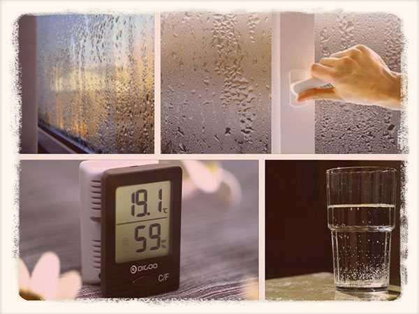 Какая влажность воздуха должна быть в квартире: норма зимой и летом