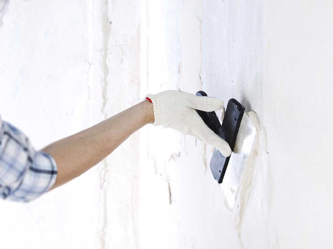 Финишная шпаклевка стен под покраску – расход шпаклевки, технология, советы - строительный портал "мастер укладки"