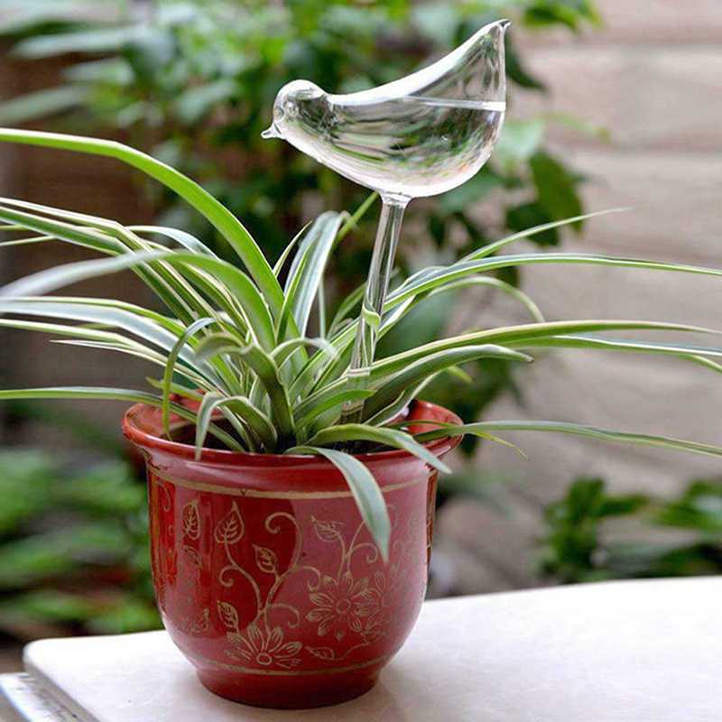 Все, что нужно знать о фитильном поливе комнатных растений